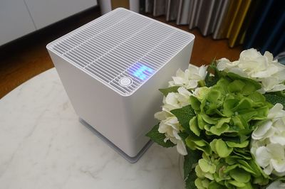 斯泰得乐Oskar加湿器开箱体验 简约设计与高效加湿的完美结合