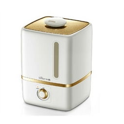 小熊加湿器选购指南 价格查询、比价攻略与使用体验